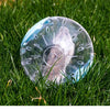 Clear Exercise Ball for Small Pets