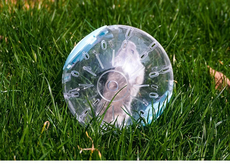 Clear Exercise Ball for Small Pets