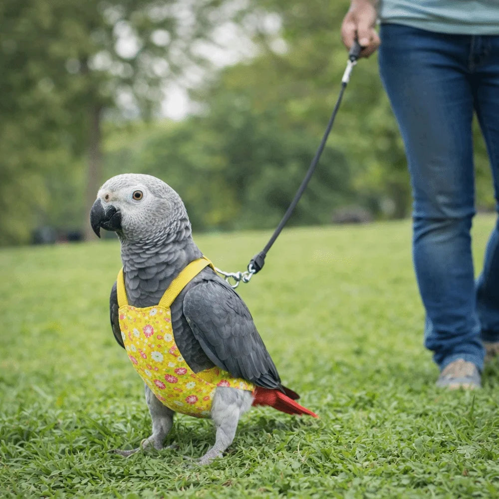 Breathable Parrot Flight Suit with Poop Pocket