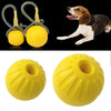 Durable Rubber Fetch Ball for Dogs and Cats