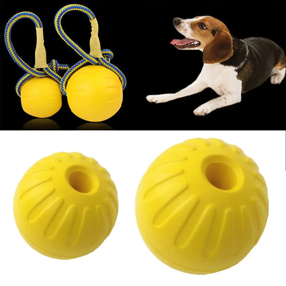 Durable Rubber Fetch Ball for Dogs and Cats