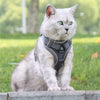Reflektierendes Netz-Hundegeschirr & Leine Set für Katzen