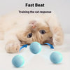 Smart Motion-Activated Cat Toy Ball