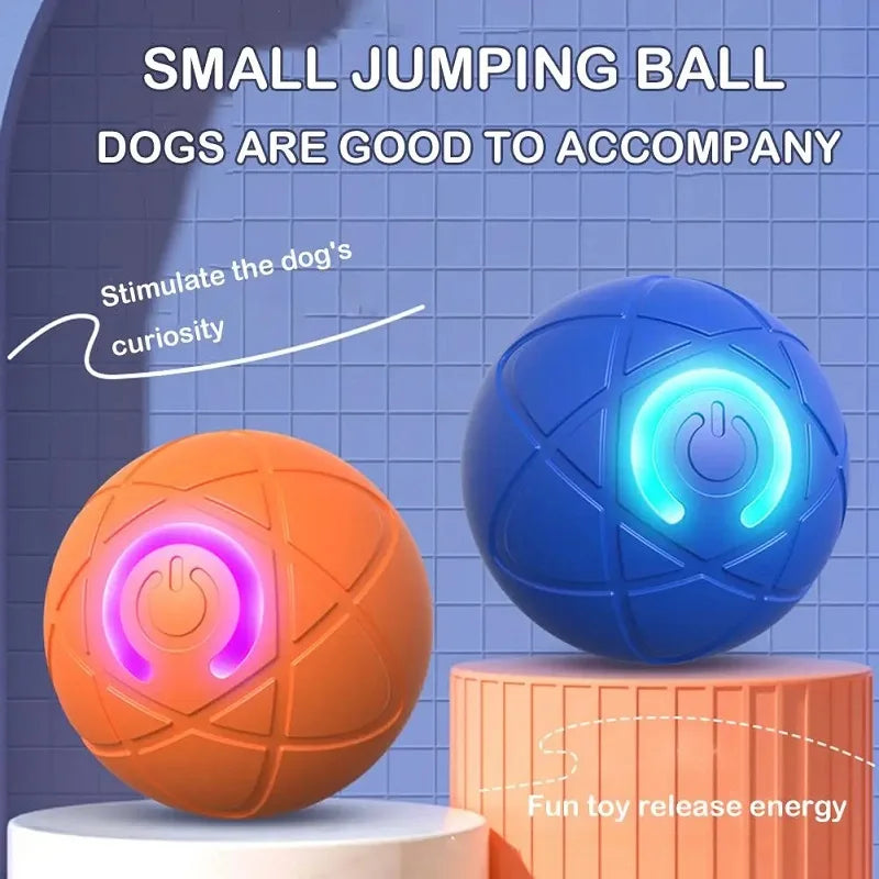 A small jumping ball toy in orange and blue colors is shown with text encouraging dogs to accompany it.