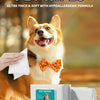 Plant-Based Deodorizing Pet Wipes for Sensitive Skin