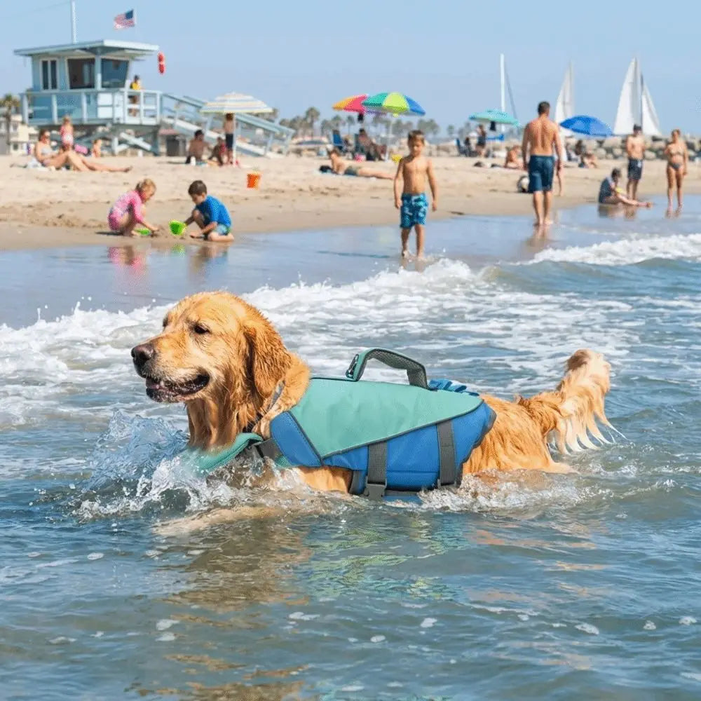 Adjustable Dog Life Jacket with Reflective Stripes