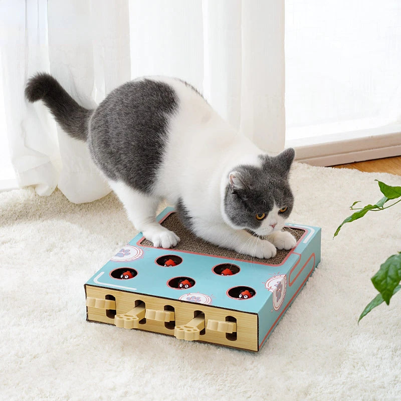 A gray and white cat is positioned on an interactive whack-a-mole style scratching board for cats.