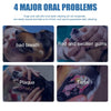 An infographic showing four major oral problems in pets: bad breath, red and swollen gums, plaque, and tartar.