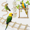 Ensemble de Jouets en Bois pour Oiseaux avec Balances et Clochettes