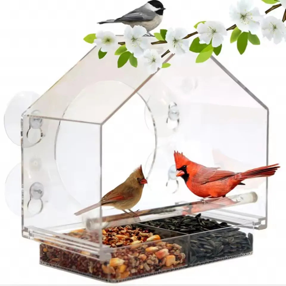 Clear Acrylic Bird Feeder with Suction Cup Window Mount