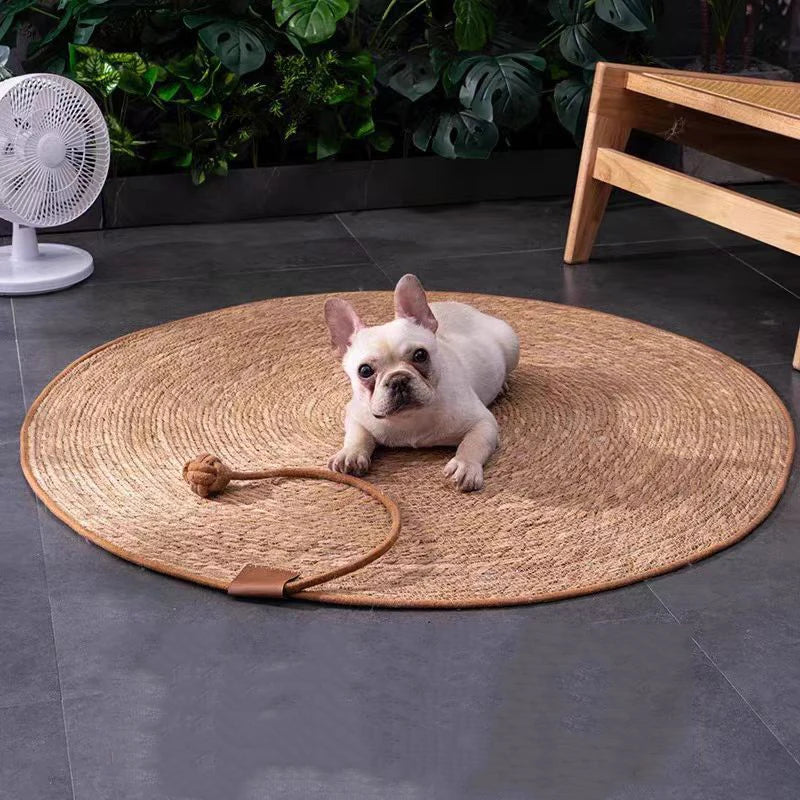A light-colored French Bulldog lies on a round natural rattan mat indoors.