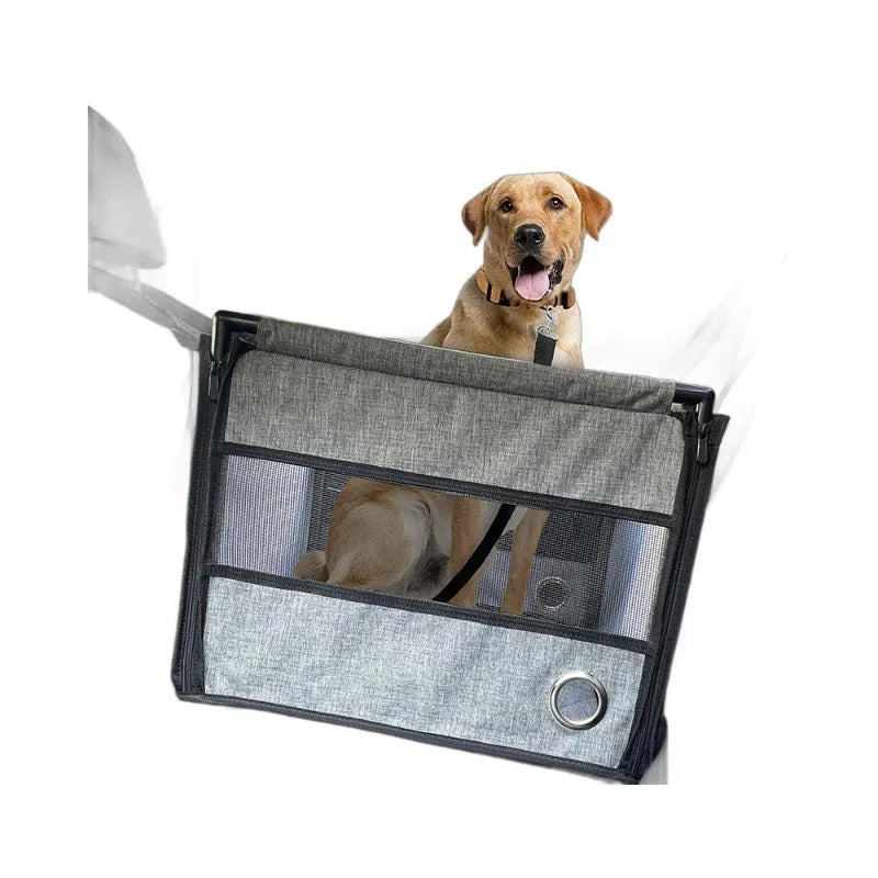 Un chien de couleur dorée est visible à l'intérieur d'un transport portable et étanche gris, conçu pour les voyages en voitur