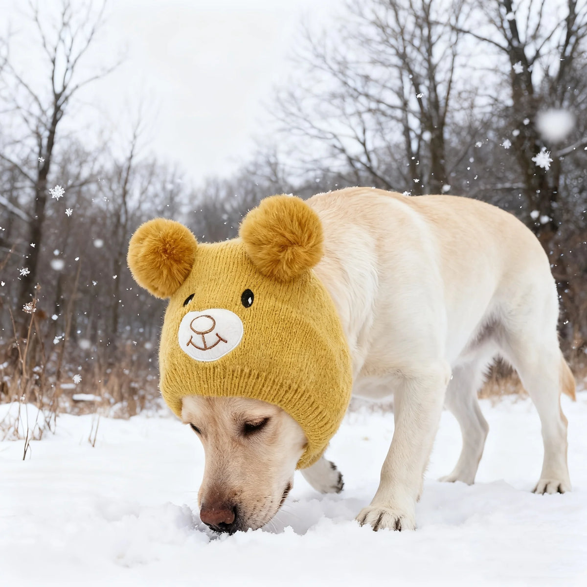 A light-colored dog wearing a yellow knitted winter hat with bear ears walking through the snow.