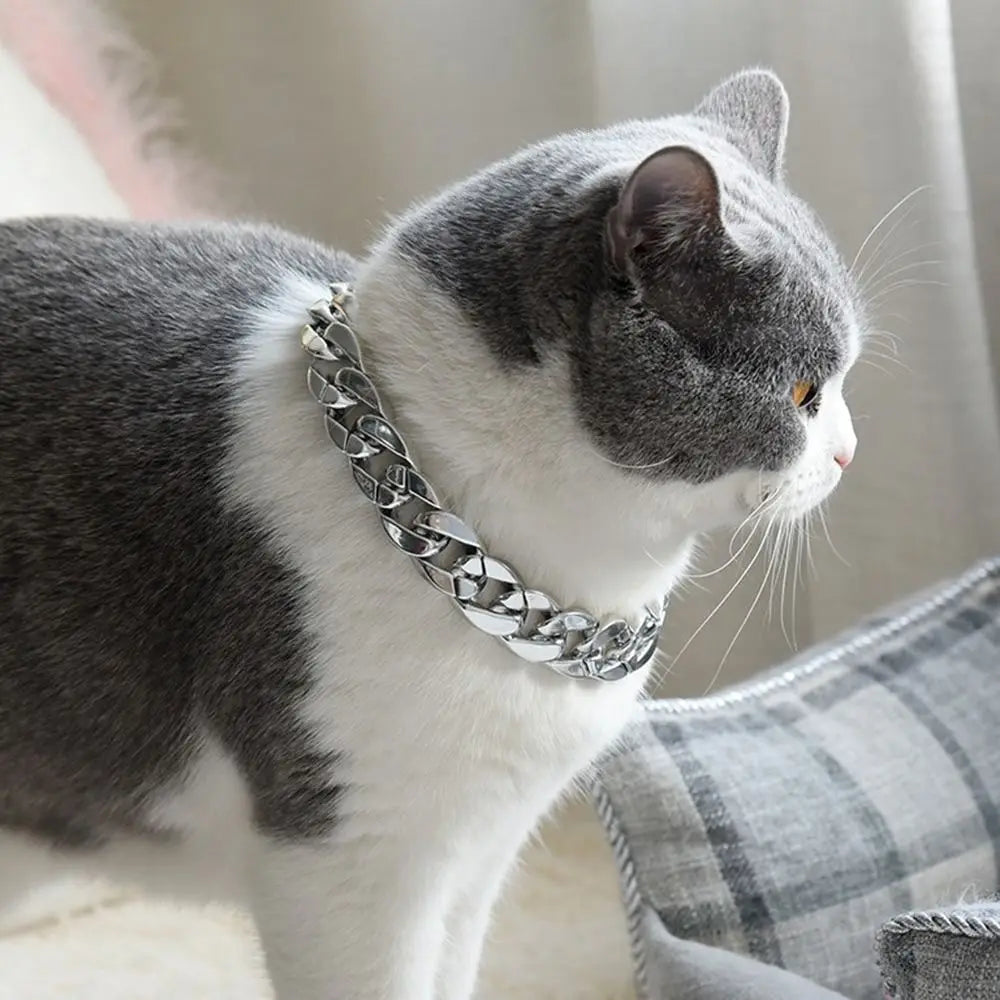 Adjustable Gold Chain Pet Necklace for Cats and Dogs