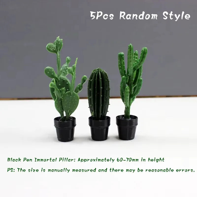 Five random style cactus plants in black pots, approximately 60-70mm in height.