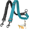 Dual Dog Leash with Shock-Absorbing Bungee (16 ft)