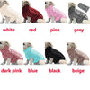Classic Knitted Turtleneck Sweater for Small Dogs and Cats