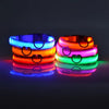 LED-Sicherheits-Hundeleine und Halsband-Set