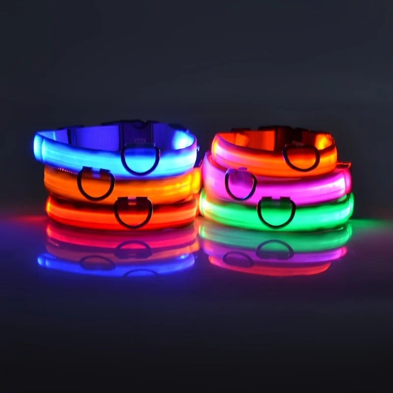 LED-Sicherheits-Hundeleine und Halsband-Set