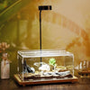 Acrylic Reptile Terrarium with Ventilation and Anti-Escape Lid