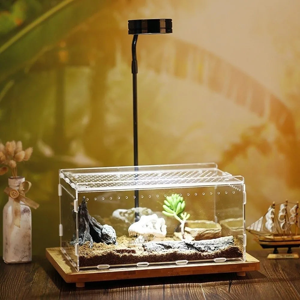 Acrylic Reptile Terrarium with Ventilation and Anti-Escape Lid