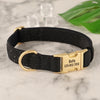 Black padded dog collar with a gold buckle and custom ID engraving on the strap
