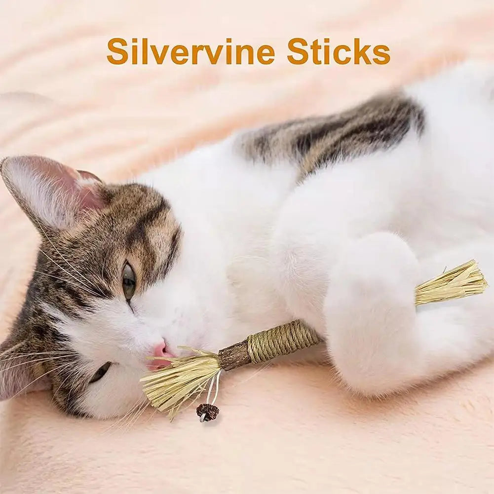 Cat Dental Care Chew Stick with Silver Vine