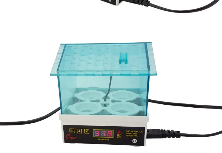 Un incubateur d'œufs numérique avec un couvercle bleu transparent et un cordon d'alimentation.