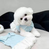 Un perro blanco esponjoso vistiendo un vestido polo de peluche fino azul claro de verano.