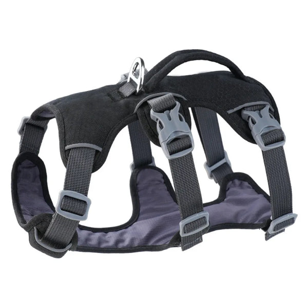 Black padded dog harness with a silver control handle