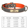 Personalisiertes Leder-Hundehalsband mit graviertem ID-Tag