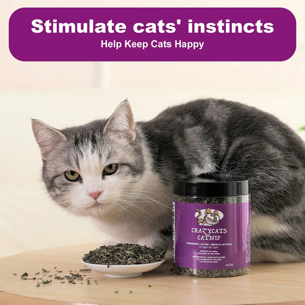 A jar of catnip is shown next to a cat, with text encouraging the stimulation of cats' instincts.