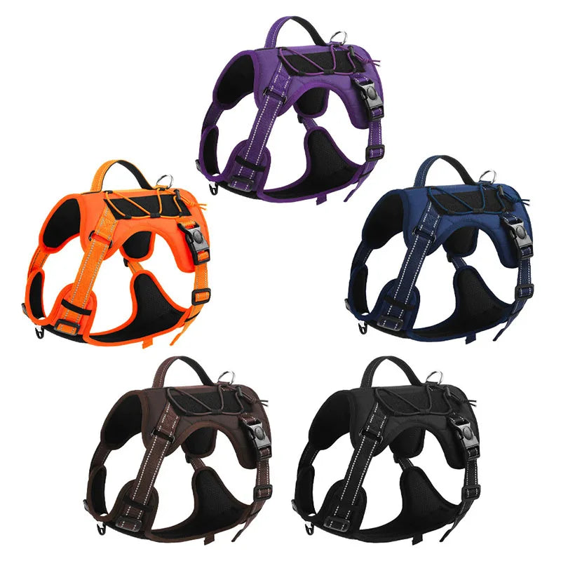 Four purple, orange, blue, and black adjustable no-pull tactical dog harnesses displayed against a white background.