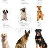 Impermeable Amarillo para Perro de Doble Capa