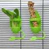 حامل تغذية أخضر يحمل قطعة عظم سمكة لبطريق للبرازيت