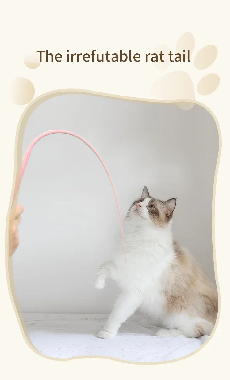 A fluffy gray and white cat is interacting with a pink silicone tail toy in a mirror.