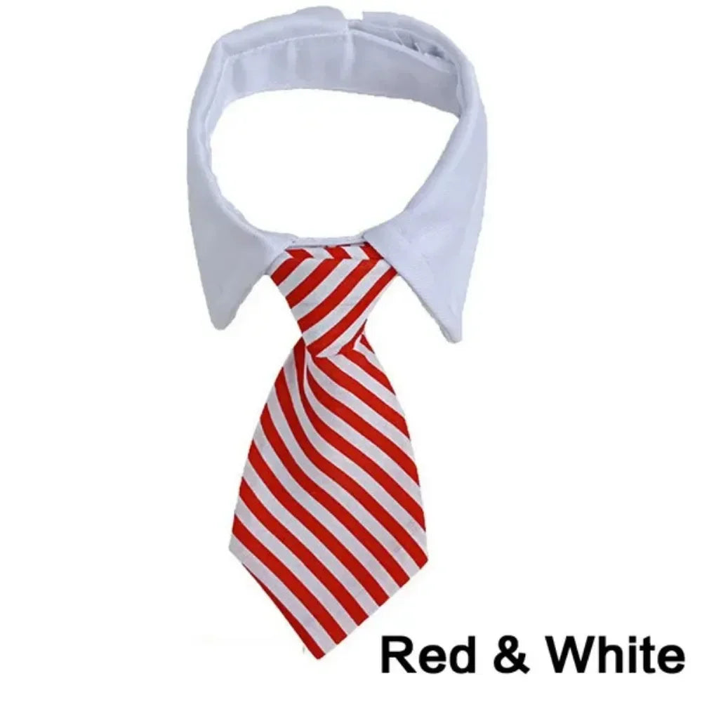 A red and white striped necktie displayed against a white shirt collar.