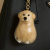 Pet Memorial Fur Keepsake Keychain Pendant