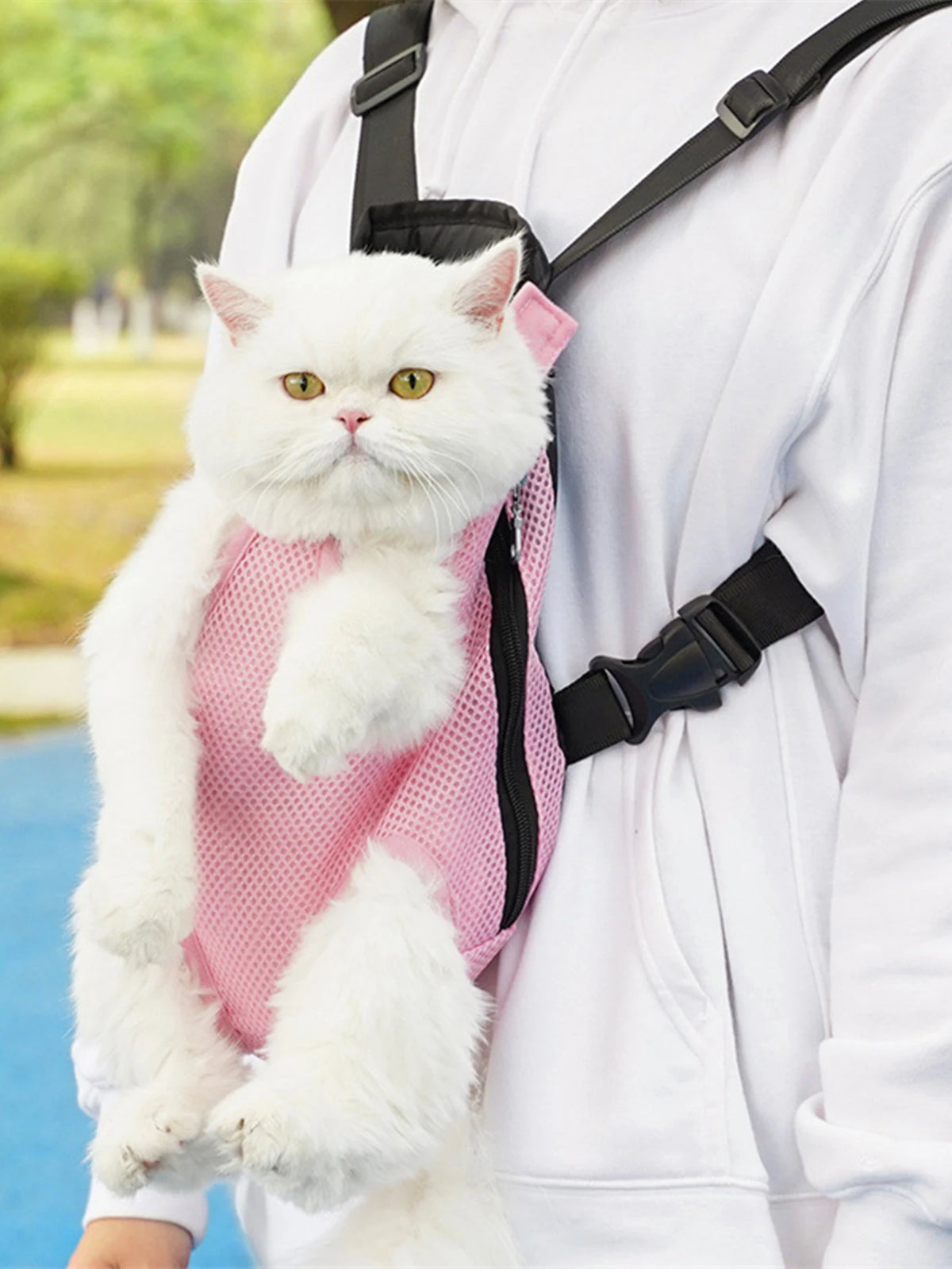 A white cat is sitting in a pink breathable pet carrier backpack worn by a person.