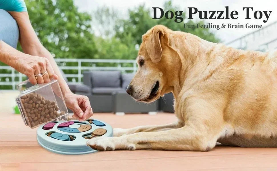 Un chien doré interagit avec un jouet distributeur de puzzle bleu, manipulé par une personne.