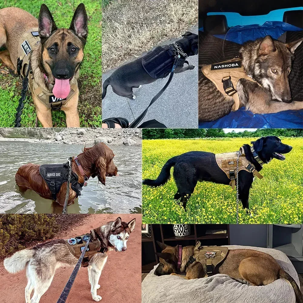 Tactical Dog Harness with MOLLE Pouches and Collar Set