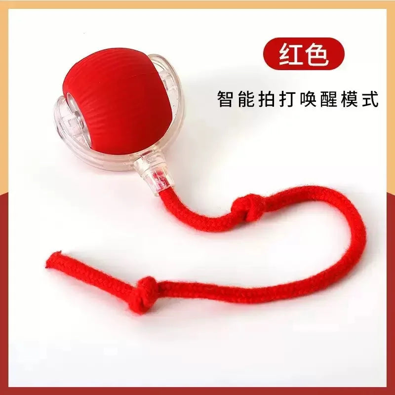 Interactive Automatic Rolling Dog Ball with Motion Activation