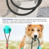 Suction Cup Interactive Dog Ball Toy with Treat Dispenser