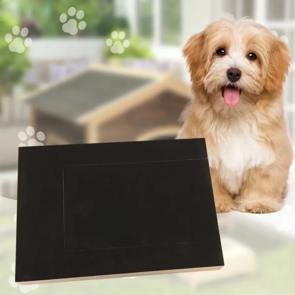 Wooden Dog Nail Scratching Board with Built-in Treat Box