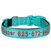Personalisierte bestickte Nylon-Hundehalsband