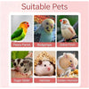 Clear Hamster Exercise Ball for Small and Medium Hamsters