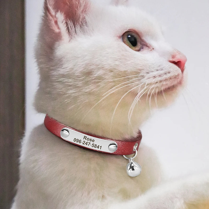 Personalisierte Leder-Halsband für Katzen mit graviertem Namen