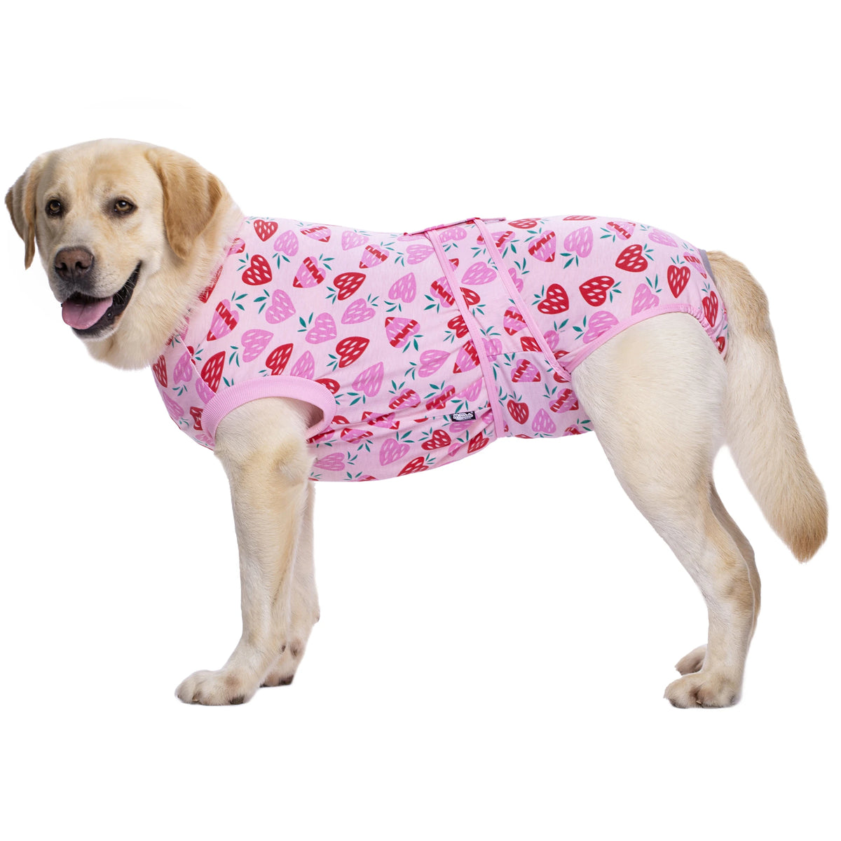 A light-colored dog wearing a pink patterned recovery suit with red strawberry designs.