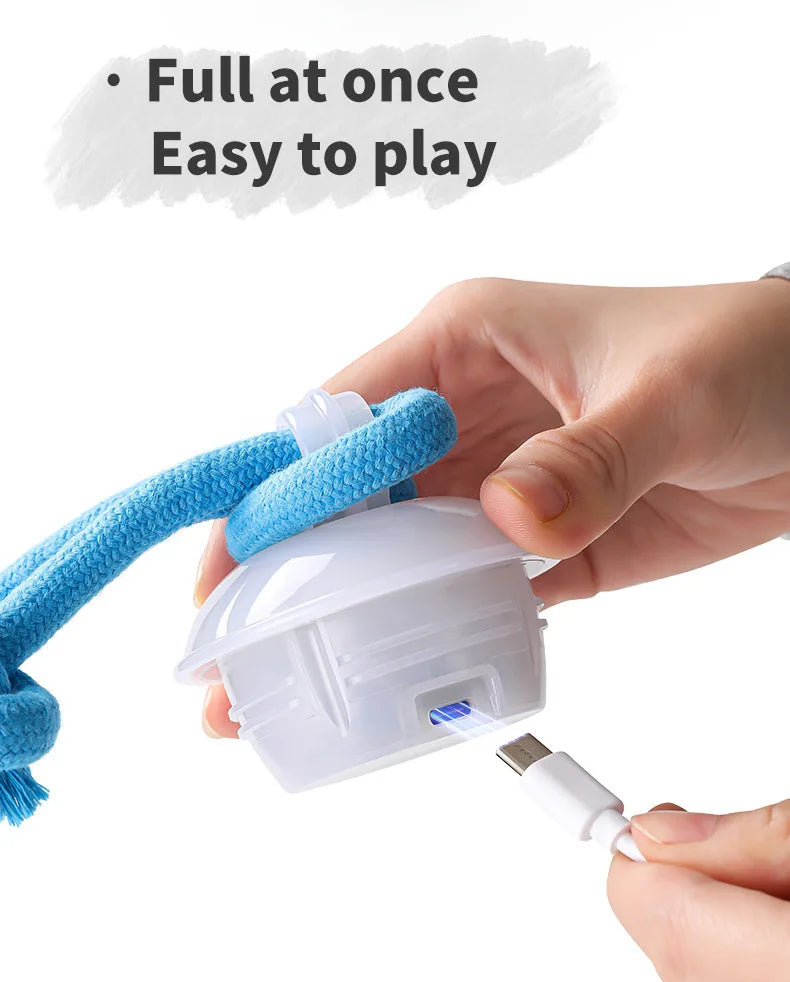 Interactive Rolling Dog Ball with Motion Sensor and Rope