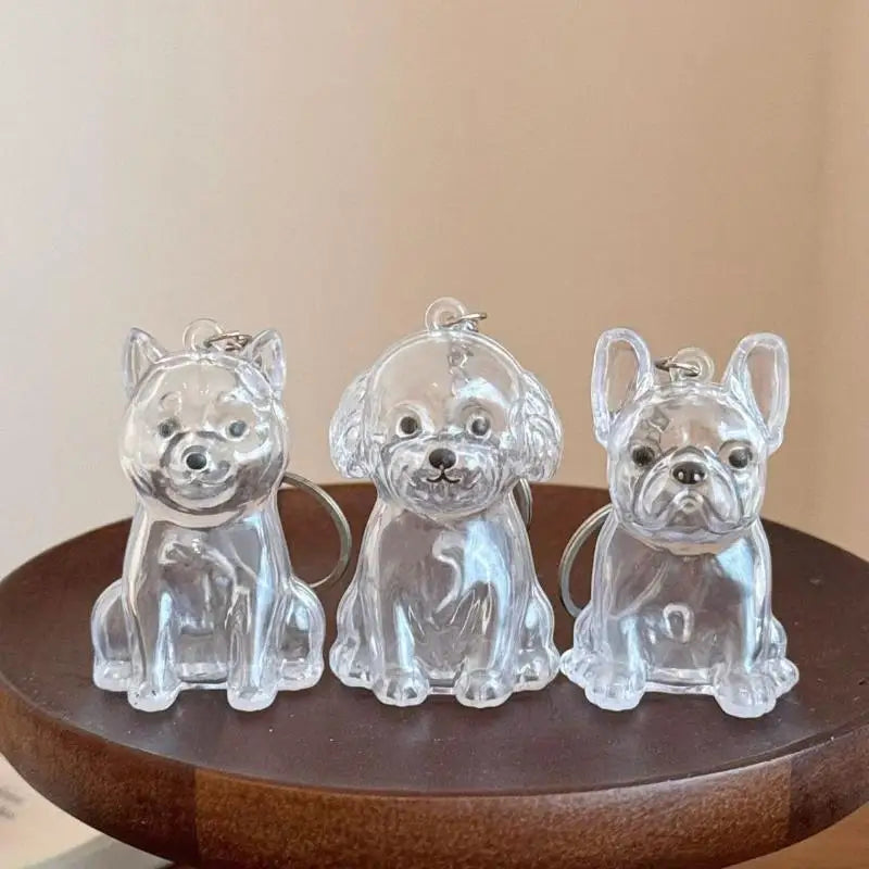 Pet Hair Keepsake Keychain with Transparent Capsule